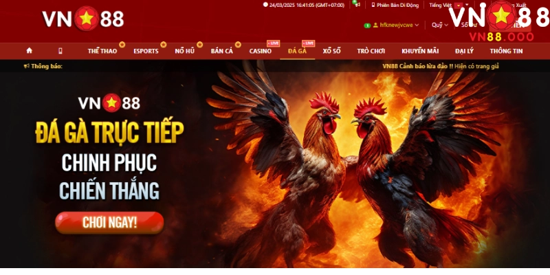 Những kinh nghiệm thực tiễn của bản thân tôi khi tham gia cá cược