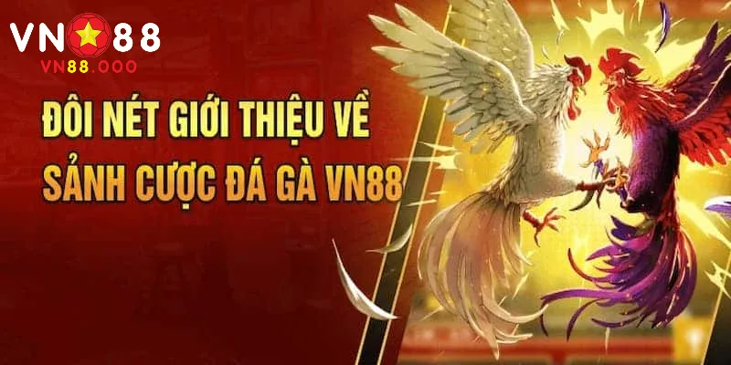 Tổng quan về sảnh đá gà tại VN88